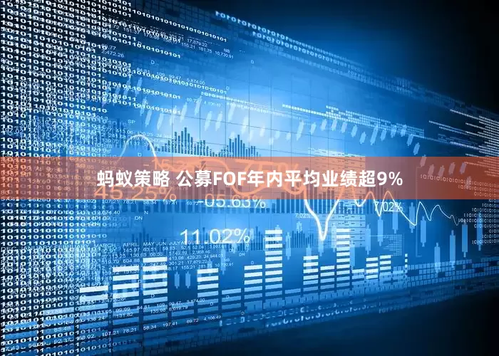 蚂蚁策略 公募FOF年内平均业绩超9%