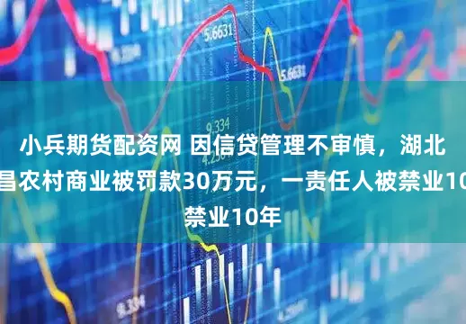 小兵期货配资网 因信贷管理不审慎，湖北孝昌农村商业被罚款30万元，一责任人被禁业10年